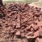 Living Hope Foundation Funded Projects