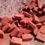 Living Hope Foundation Funded Projects