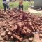 Living Hope Foundation Funded Projects