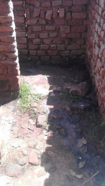 Living Hope Foundation Funded Projects