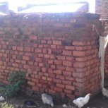 Living Hope Foundation Funded Projects