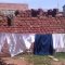 Living Hope Foundation Funded Projects