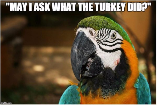 May I ask what the turkey did?