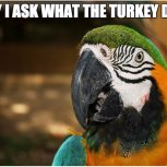 May I ask what the turkey did?