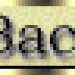 Back Button 