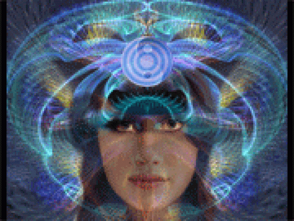 Spiritual Family Network Avatar 