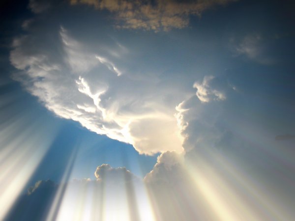 Sky Light 