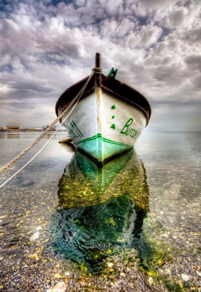 Reflections 