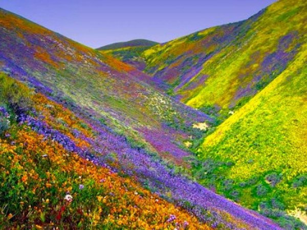 Valleys of Mystery 