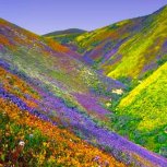 Valleys of Mystery 
