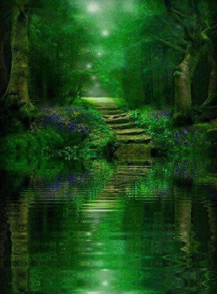 Deep Forest 