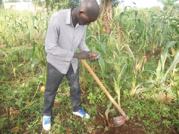 Tilling the soil