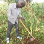 Tilling the soil
