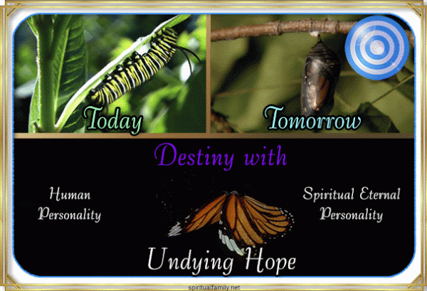 Divine Destiny with Undying Hope