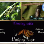 Divine Destiny with Undying Hope