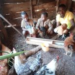 Niwamanya Onesmas Family Poultry Project