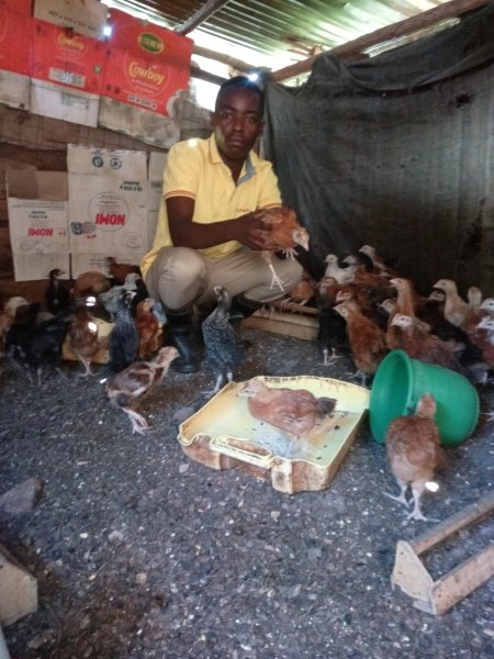 Small Family Poultry Projects