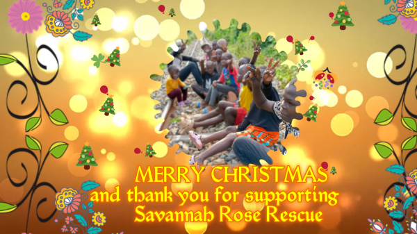 2024 Christmas Greeting -Savannah Rose Rescue Home - Manyi john