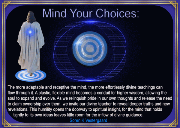 Mind Your Choices - Soren K Vestergaard