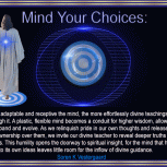 Mind Your Choices - Soren K Vestergaard