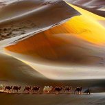 Desert Tribes