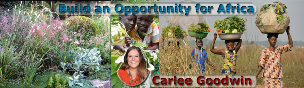Cover Build an Opportunity for Africa,Carlee Goodwin,