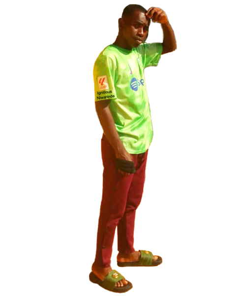 Ignitious Niwarinda