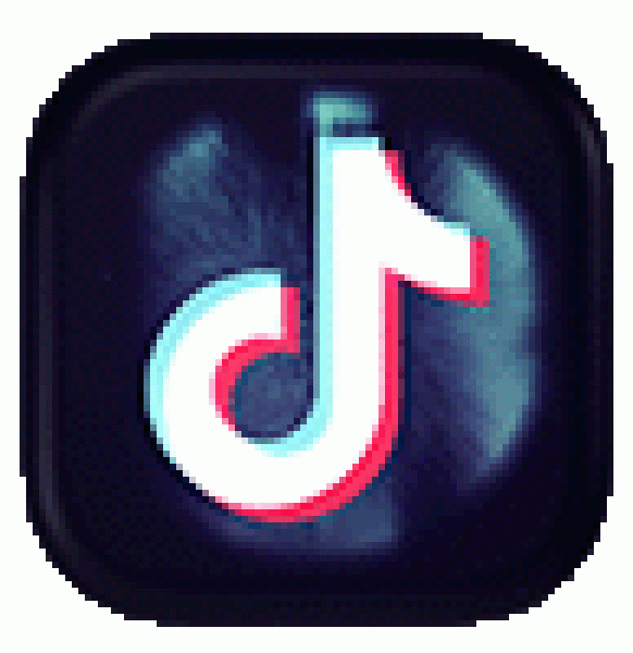 TikTok Icon