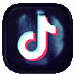 TikTok Icon