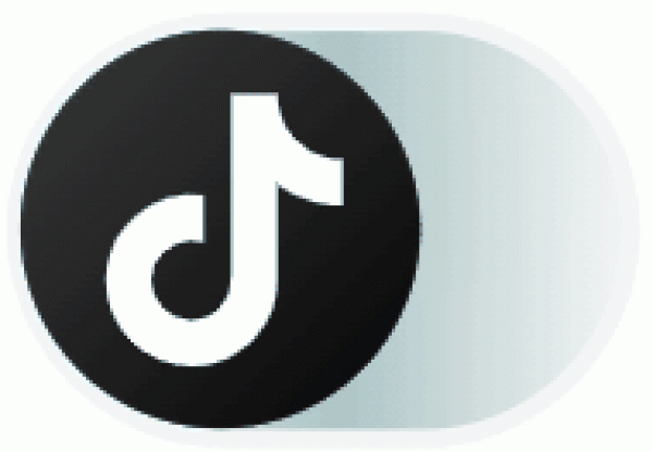 TikTok icon