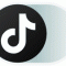 TikTok icon