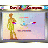 David-Office of Christ-Office of Melchizedek