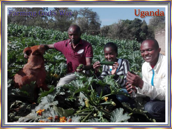 Slider 1 Farming God's Way-5