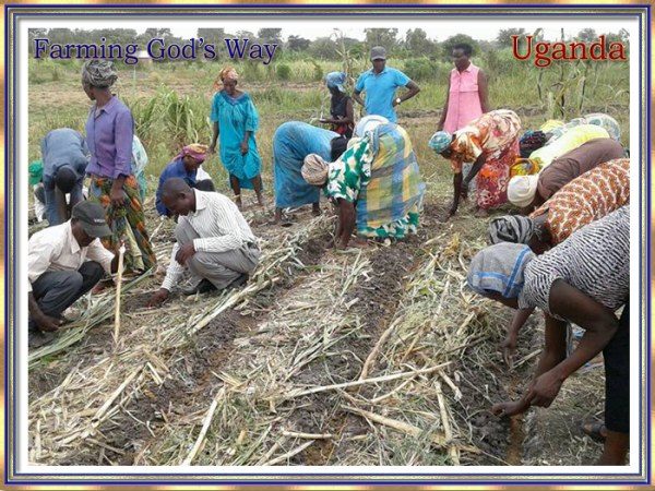 Slider 1 Farming God's Way-3