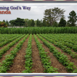 Slider 1 Farming God's Way-2