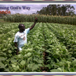 Slider 1 Farming God's Way-1