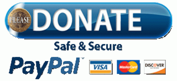PayPal Donate 300X138