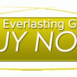 BUYNOWBUILDERFILE01Yellow