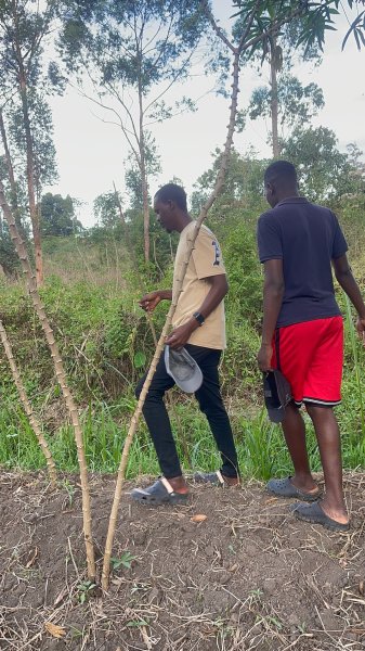 FARM PROJECT | FARMING DAYS