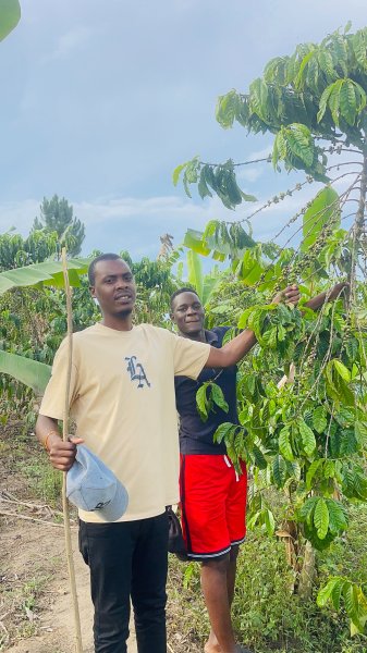 FARM PROJECT | FARMING DAYS