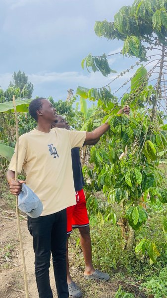 FARM PROJECT | FARMING DAYS