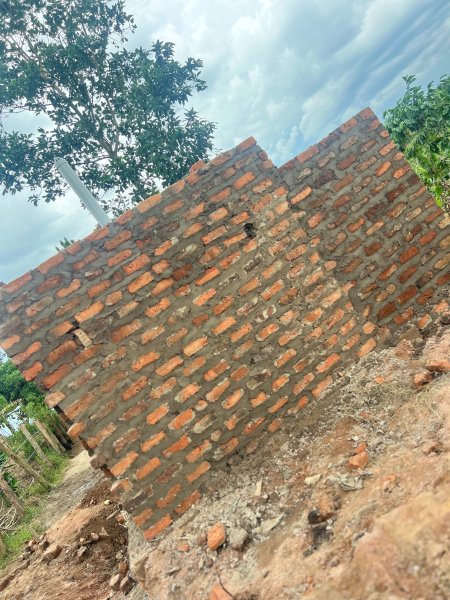 2025-FARM PROJECT | FARMING DAYS