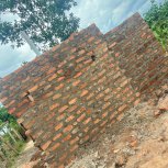 2025-FARM PROJECT | FARMING DAYS