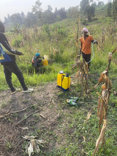 2025-FARM PROJECT | FARMING DAYS