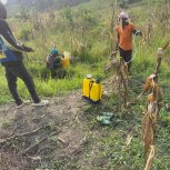 2025-FARM PROJECT | FARMING DAYS