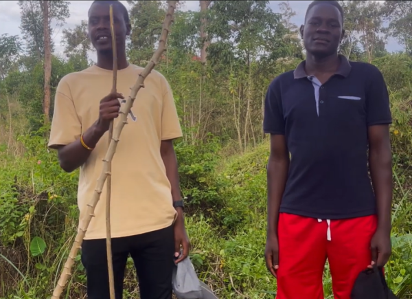 FARM PROJECT | FARMING DAYS