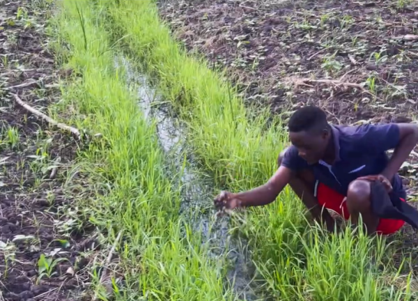 FARM PROJECT | FARMING DAYS