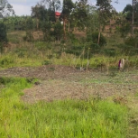 FARM PROJECT | FARMING DAYS