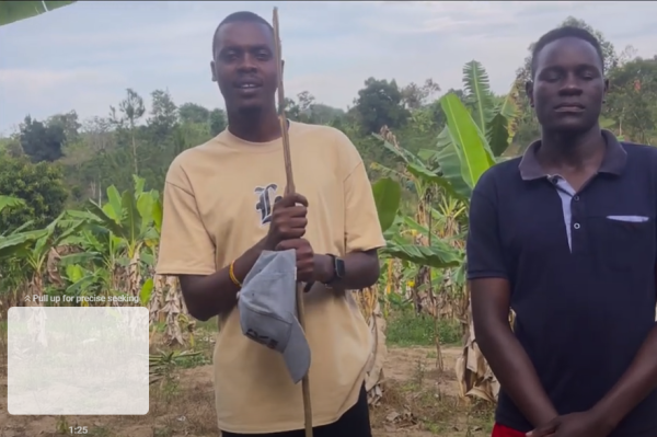 FARM PROJECT | FARMING DAYS