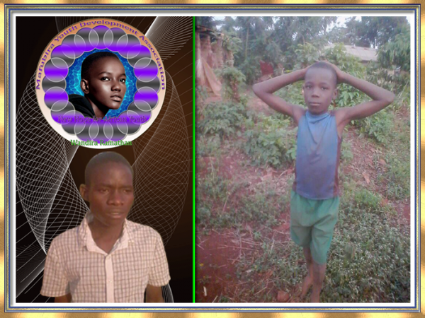 Katawu Made
